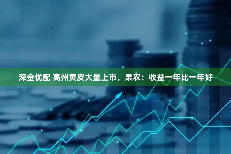 深金优配 高州黄皮大量上市，果农：收益一年比一年好
